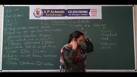 STD 2 CBSE | SCIENCE LEC 7 | S P SCHOOL SURENDRANAGAR