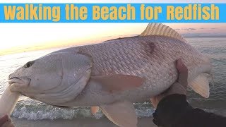 Walking the Beach for Redfish - Surf Fishing Gulf Shores Alabama