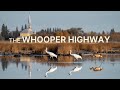 Whooping Cranes Migration Quiz