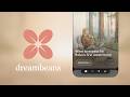 Introducing Dreambeans: Surfacing what matters to you