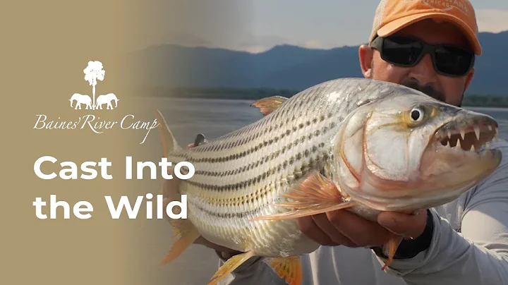 Cast Into the Wild: Fly Fishing Adventures at Baines' River Camp