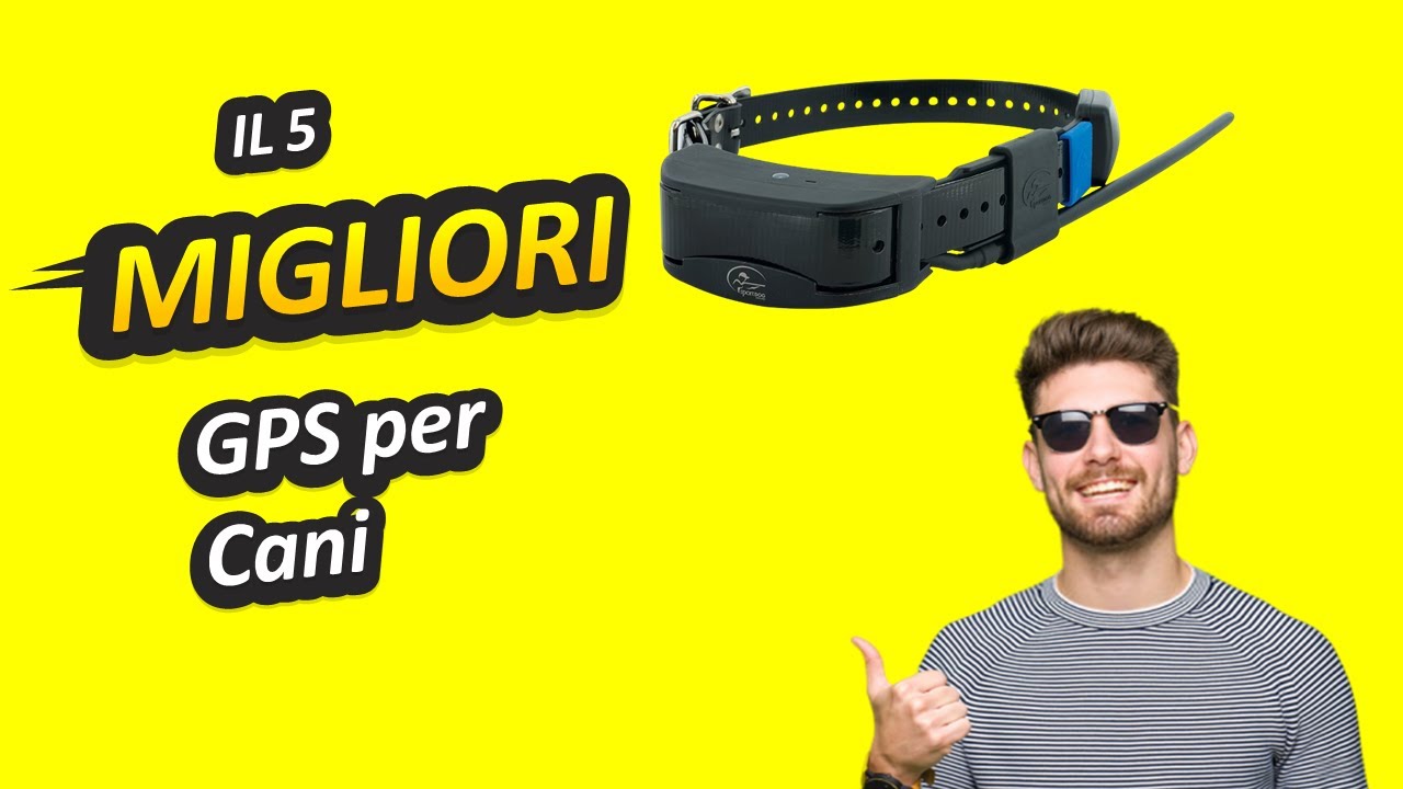 Migliori Gps Per Cani
