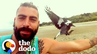 Baby Magpie Has The Sweetest Friendship With The Guy Who Rescued Him | The Dodo