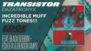 Dazatronyx Transistor Fuzz