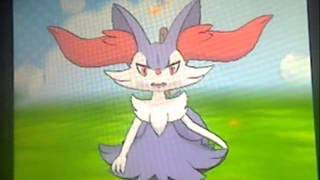 Shiny Braixen in Pokemon Amie