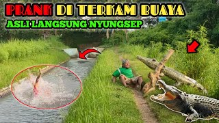 Prank Buaya Tak Ada Akhlak || Auto Nyungsep Bikin Ngakak 🤣🤣 || Funniest Crocodile Prank