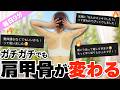 首・肩・肩甲骨が怖いほどほぐれる!続けるだけで上半身が変わる神トレ