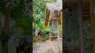 Where you can find a relaxing place travelasia travelnatureraincambodia angkorwat