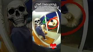 Owl Swoops On Cat Woman Steps In