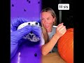 #foryou #fyp #laugh #school #friend #relatable #funny #trending #comedy #viral #pov
