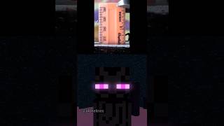 Ruler Crack End City Mob - Minecraft Animation #minecraft #shorts #comedy