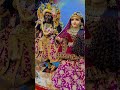 Krishna ❤️🦚 Sookun #song #krishna #status #radhekrishna #love #shortvideo #shortviral