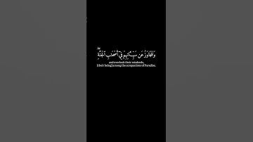 [أولئك الذين نتقبل عنهم أحسن ما عملوا…] كرومات قرآن شاشة سوداء - ياسر الدوسري - سورة الأحقاف