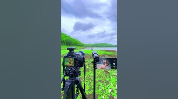 Nikon 70-300 mm lens vs 60X telephoto lens #short #shorts #ytshorts  #photography #camera #india