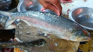 hilsa fish cutting video||hilsa fish cleaning||hilsa fish cutting skills||Fish Cutting video.