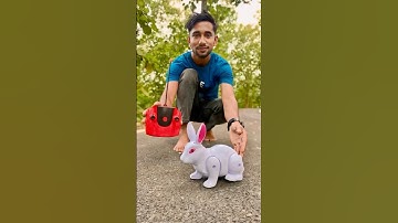 New Remote Control Rabbit🐇😍 Unboxing & Testing