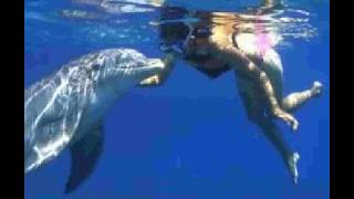 Private Dolphin Tour Panama City Beach, FL