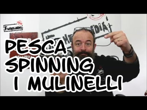 Video: Come Scegliere Un Mulinello Da Spinning?