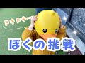 お兄ちゃんがなぜかアヒルさんになってしまいました…【伊豆旅行】
