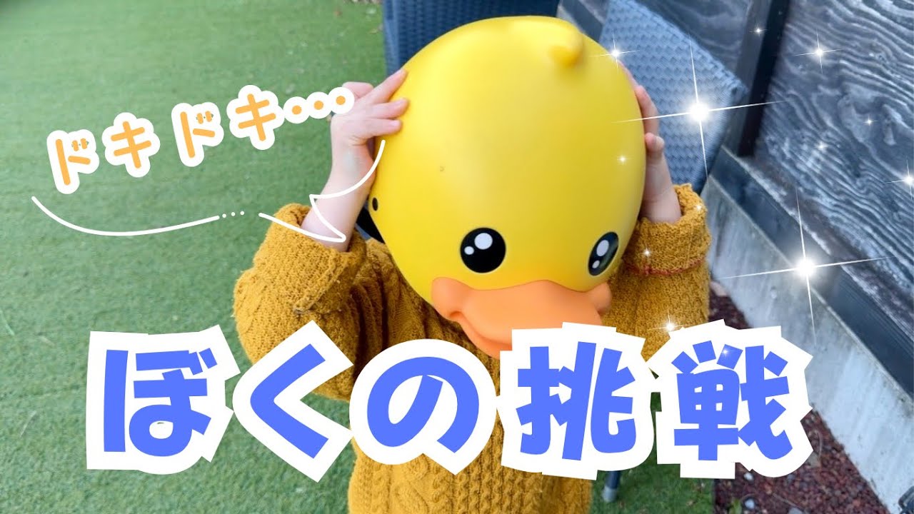 お兄ちゃんがなぜかアヒルさんになってしまいました…【伊豆旅行】