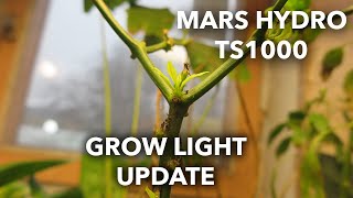 GROW LIGHT FOR HOUSE PLANTS | Mars Hydro TS1000 Update