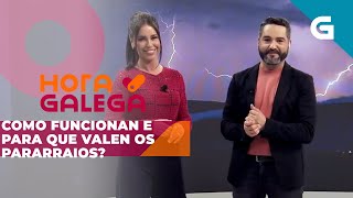 Hora Galega: Como podemos protexer a nosa casa dos lóstregos