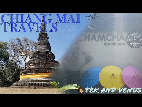 Chiang Mai Travels!  Chamcha@Doikham and Wat Umong!