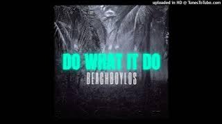 BeachBoyLos - Do What It Do