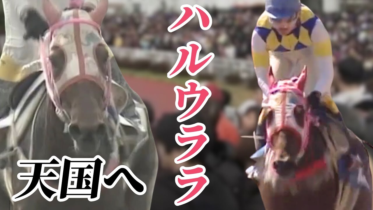 Top jockey Yutaka Take's 'star of the losers', popular
