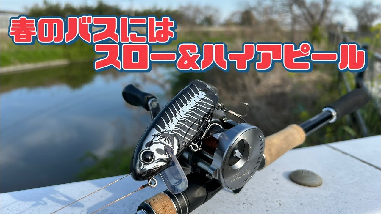 【バス釣り】柳川クリークで春のブラックバスを狙う