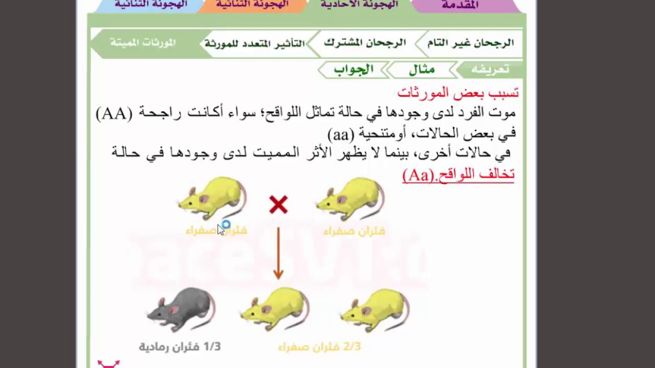 المورثات المميتة
