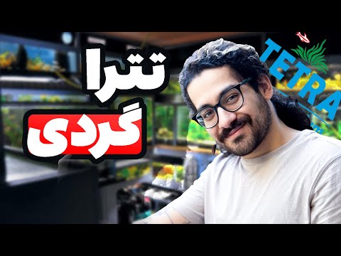 تترا گردی و نمایش ماهی های مجموعه