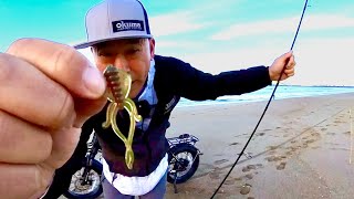 Vlogging about Reading the Beach & C-Rig on my Engwe L20 2.0 E-Bike [SoCal Surf Fishing]