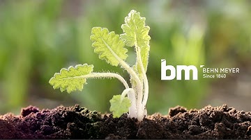 Behn Meyer Group: Innovative solutions for a more sustainable world