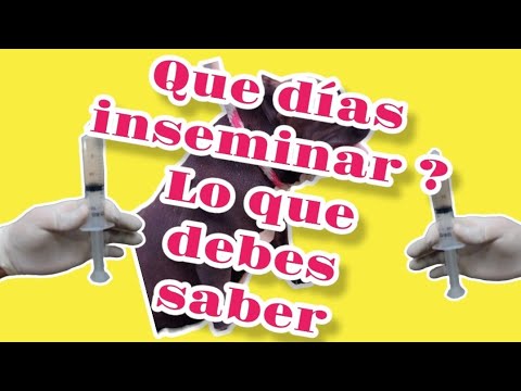 Video: ¿Por qué inseminamos?