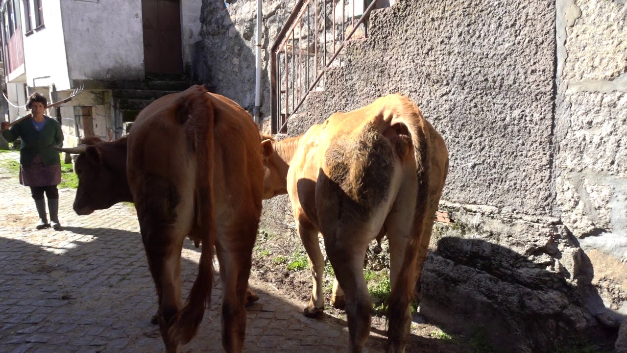 Aldeia de Parafita - Montalegre