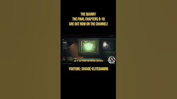 The Quarry final chapters 9-10 are out now on the channel!