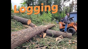 Logging with Dad - Hauling in the Wood for Processing