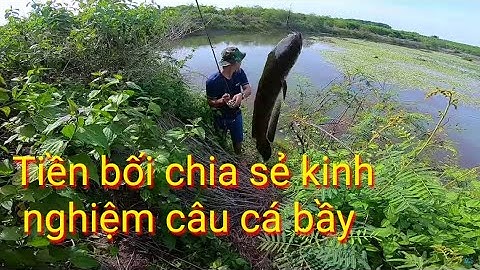 Theo Tiền Bối  học câu cá lóc Bầy Ròng Ròng  snakeheadfishing | Cha Già Vlogs