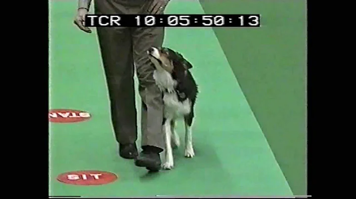 Crufts 1992 Roy Neal and Southcombe Firebird