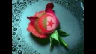 Download lagu HAKIM SALHI