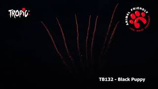 Tb132 - Black Puppy - Animal Friendly Tropic Fireworks Fajerwerki Feuerwerk Feu Dartifice
