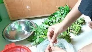 Daliy Blog বভনন সবজ রনন Blog -3 Moni Blog