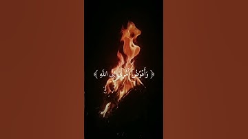 فَسَتَذْكُرُونَ مَا أَقُولُ لَكُمْ  سورة غافر الشيخ عبدالباسط #quran #قرآن #قران_كريم #عبد_الباسط