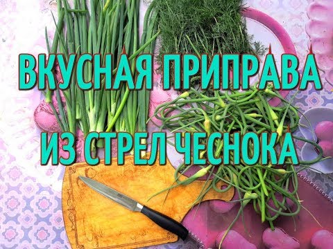 Приправа из стрел чеснока. Приправа для любых блюд. Песто из зелени