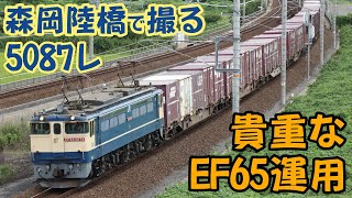 【森岡陸橋シリーズ22】 EF65牽引、5087レを撮る 【貨物列車】