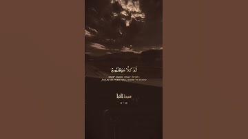 سورة النبأ عبدالرحمن مسعد