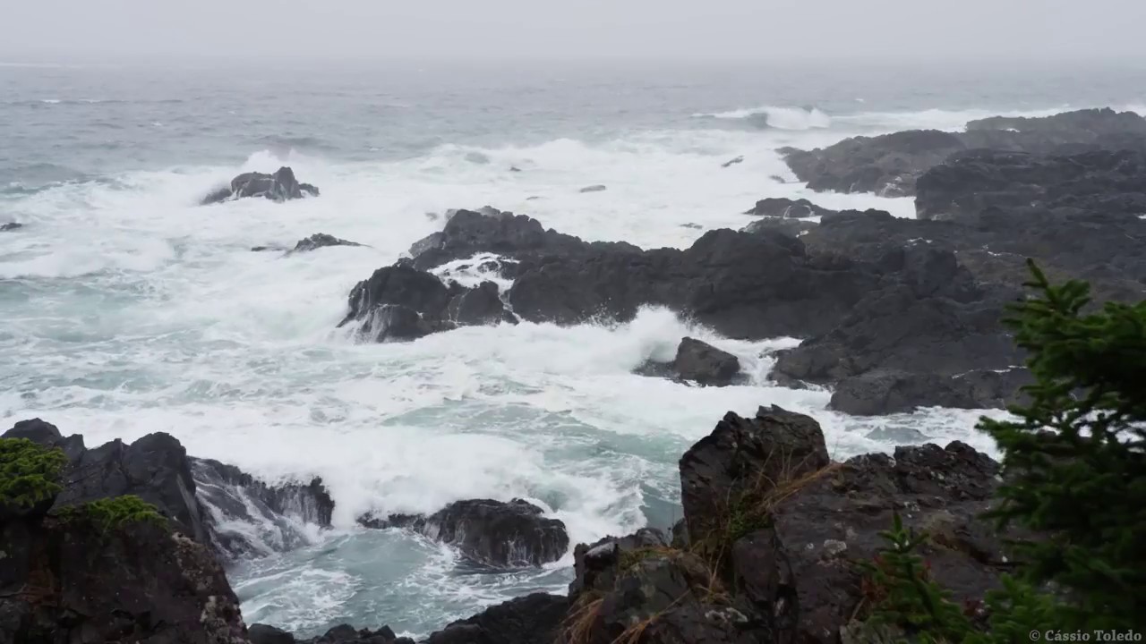 Emerson Ferrell - Mind of Christ