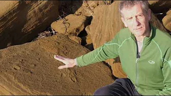 We Just Found Footprints of an Extinct Giant Moa!