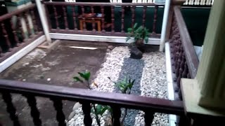 MAKAM AULIA SYEKH MAS'UD KAWUNGANTEN | Ziarah Wali Empat